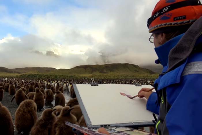 Homem faz pintura incrível  rodeado por pinguins 
