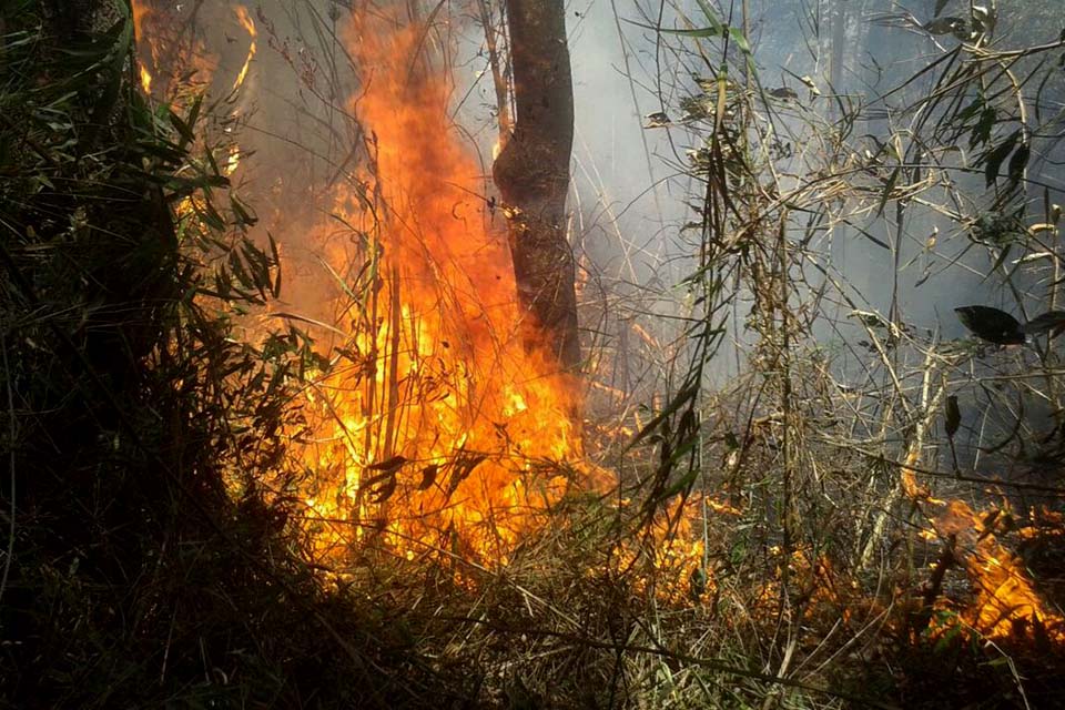 Bombeiros combatem há dois dias incêndio na Serra dos Órgãos