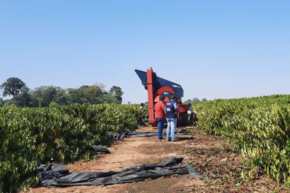 Produtividade do agronegócio de Rondônia chama a atenção de outros estados