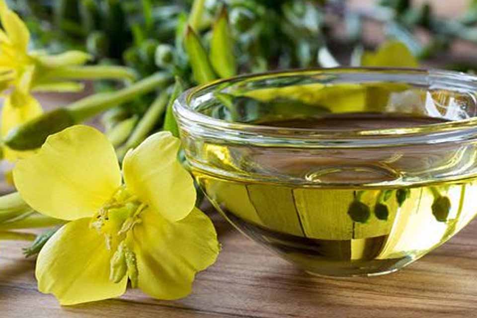 Óleo de Prímula Para Aliviar a TPM (+8 Benefícios)