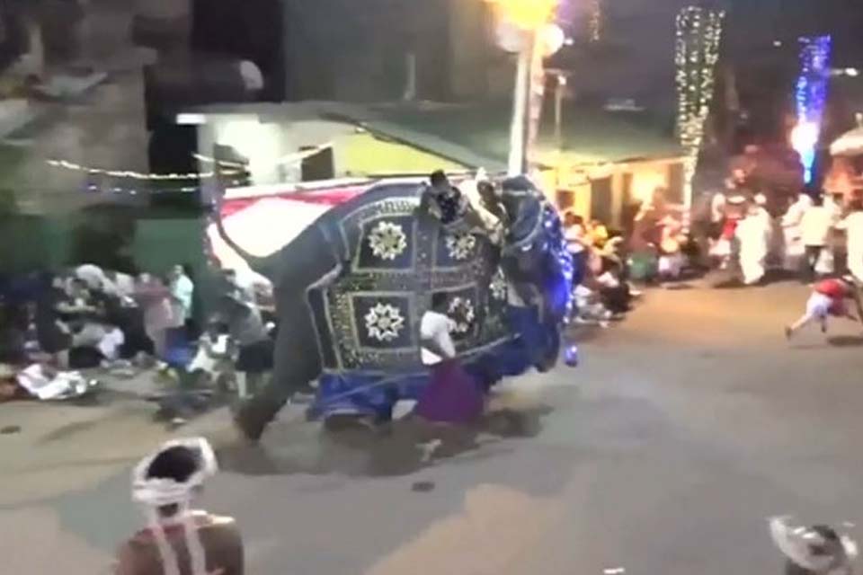 VÍDEO - Elefante pisoteia multidão em procissão no Sri Lanka
