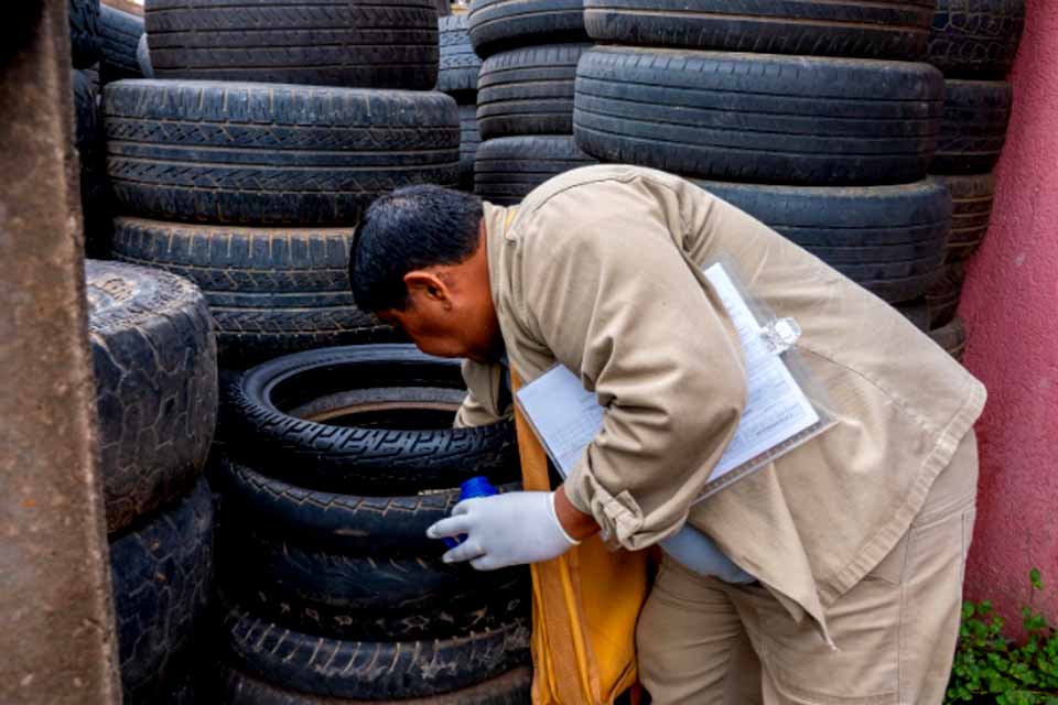 Período chuvoso exige alerta, mas Porto Velho registra queda expressiva nos casos de dengue