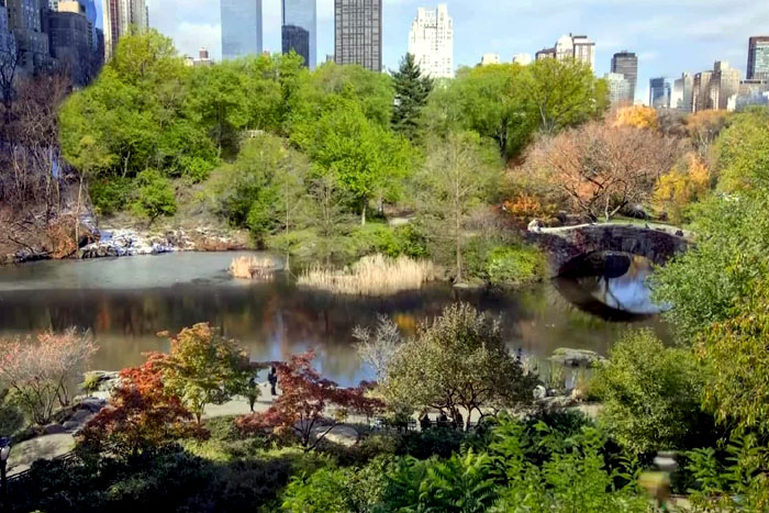 Timelapse mostra as estações do ano no Central Park