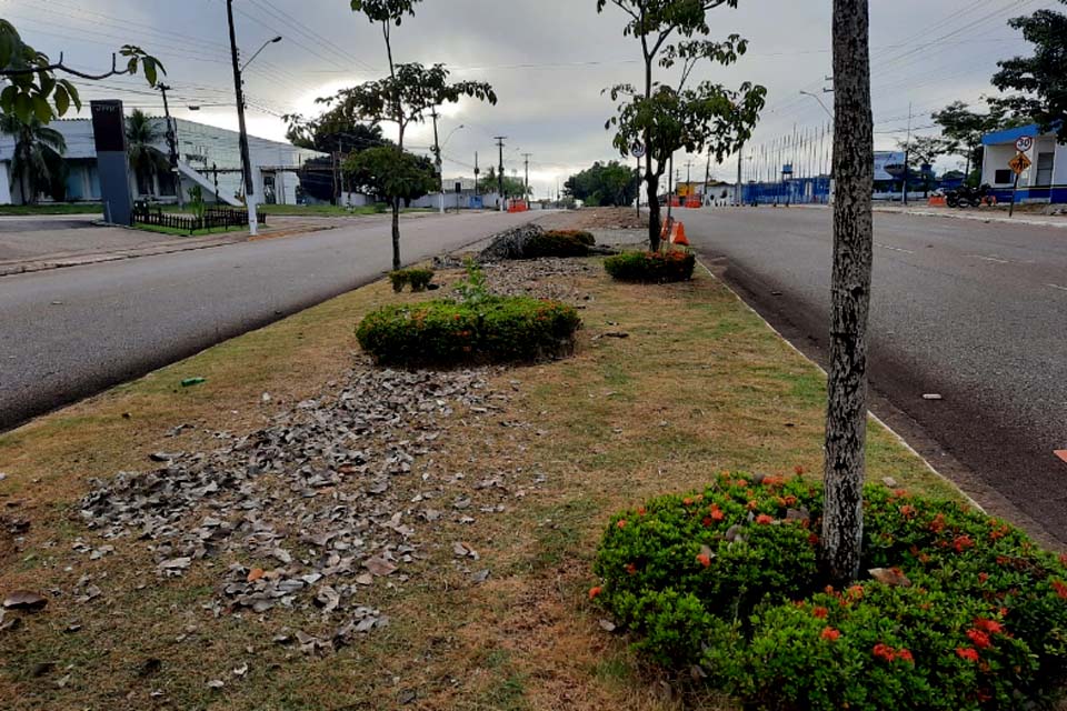 Prefeitura de Porto Velho inicia semana com limpeza de avenidas