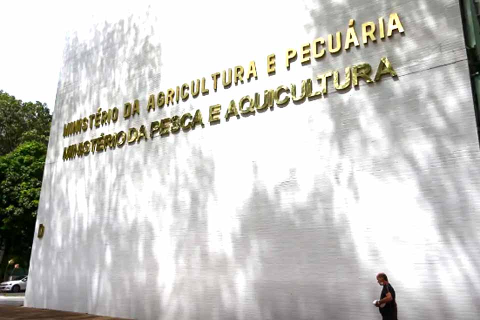 Sete casos de doenças respiratórias em aves são investigados no país