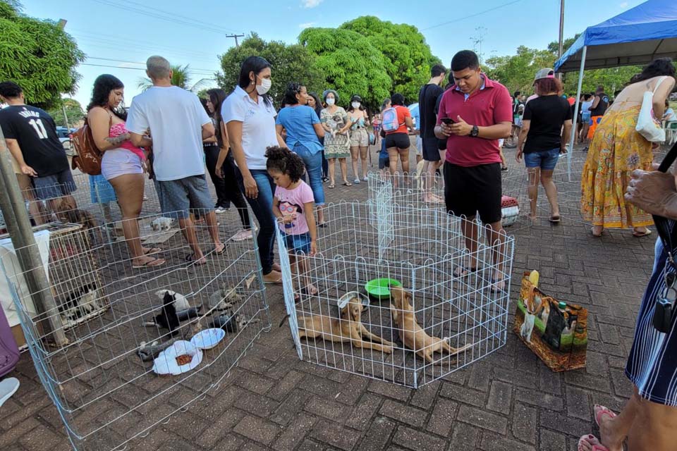 Prefeitura de Porto Velho realiza feira para adoção de pets no Parque da Cidade