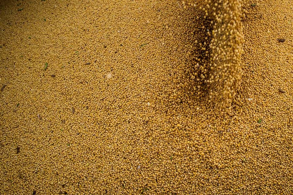 Projeções da AEB para balança comercial apontam para novos recordes