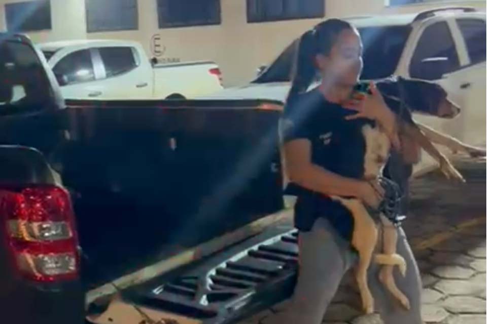 Homem é preso por crime de maus-tratos contra cachorra em Vilhena