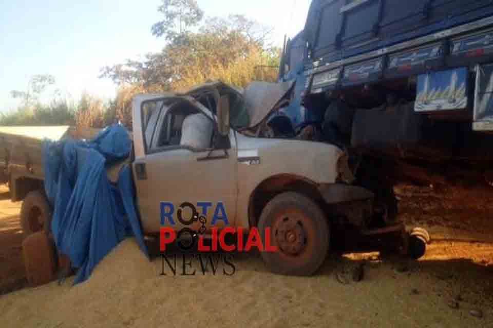 Motorista morre em colisão frontal entre caminhões em Cerejeiras