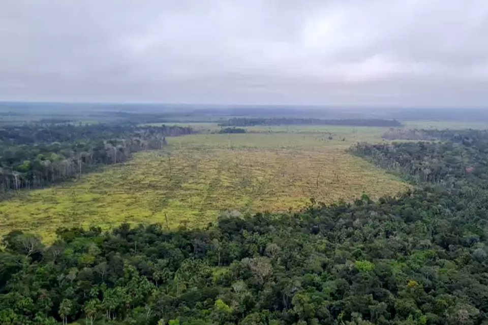 Desmatamento destrói até 92% no entorno de terras indígenas na Amazônia, segundo levantamento