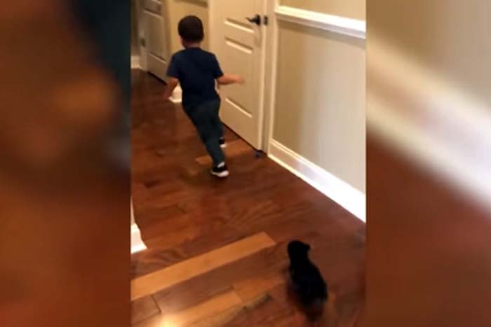 Garotinho corre com medo de filhote de cachorro 