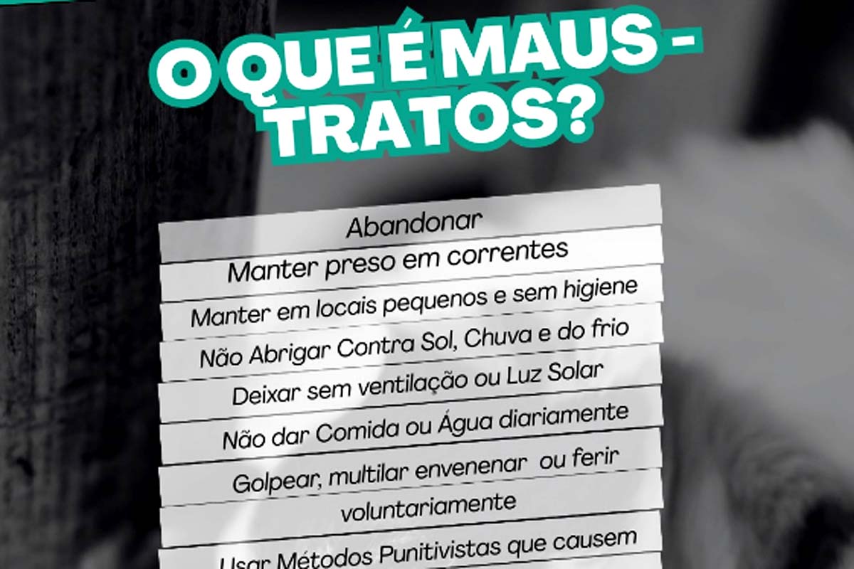 Prefeitura reforça combate aos maus-tratos e pede apoio da população