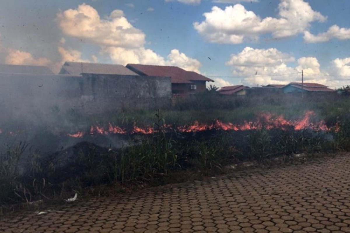 Período de estiagem aumenta risco de incêndios; Prefeitura reforça canais para denúncias de queimadas urbanas