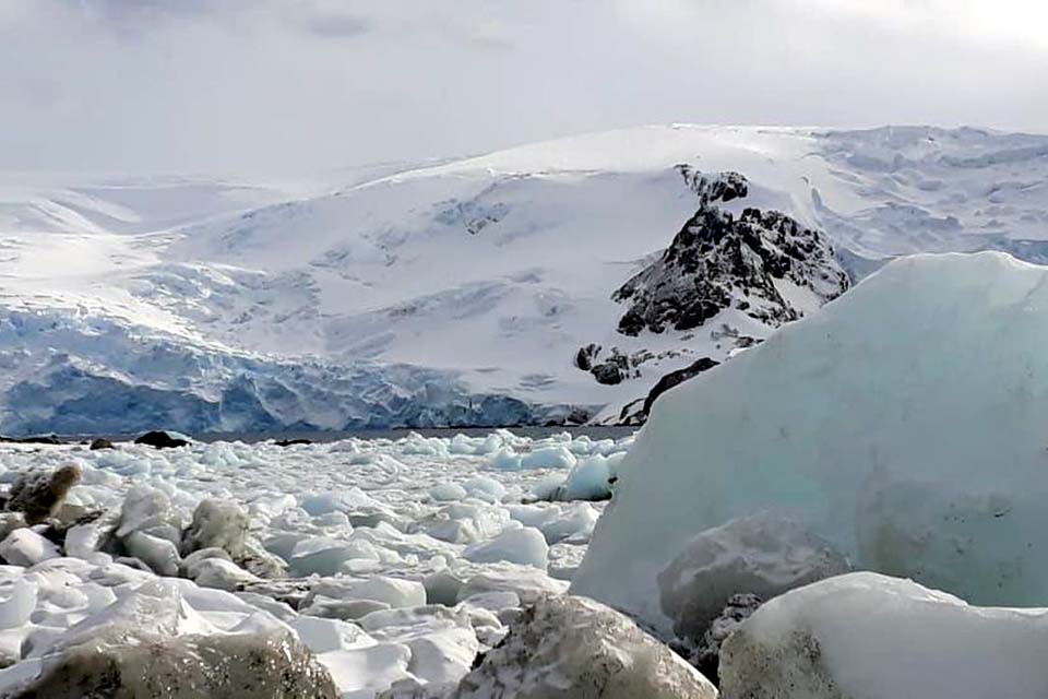 Península Antártica pode sofrer invasão de espécies, alerta pesquisa