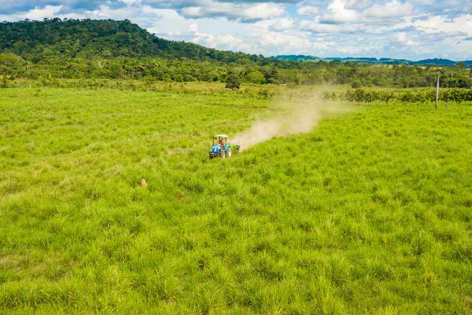 Prefeitura realiza aplicação de calcário em lavoura para plantio de café 