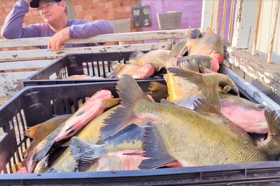 Programa Municipal de Aquisição de Alimentos distribui 300 kg de peixe no bairro Monte Cristo  2