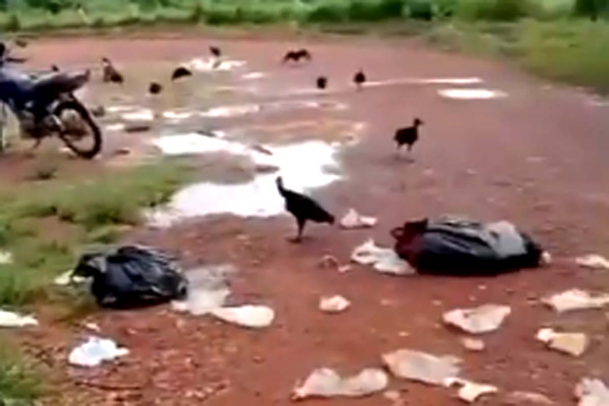 Empresa alerta sobre descarte irregular de lixo e anuncia medidas de fiscalização