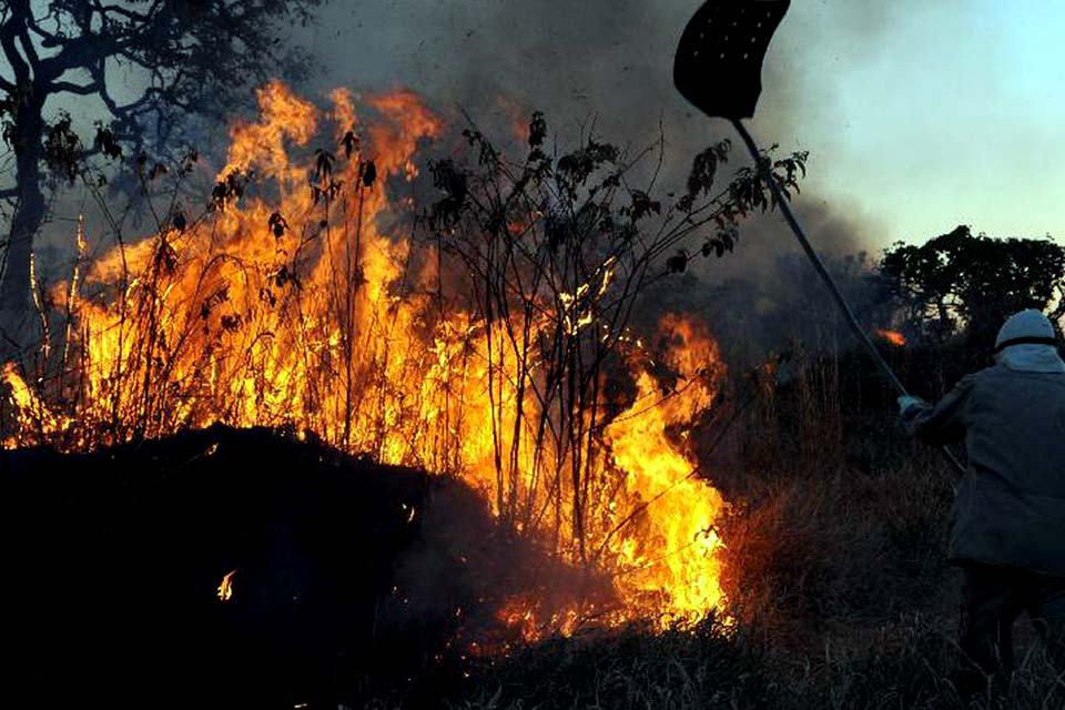 Amazônia concentra 90% da área com focos de incêndio no 1º bimestre