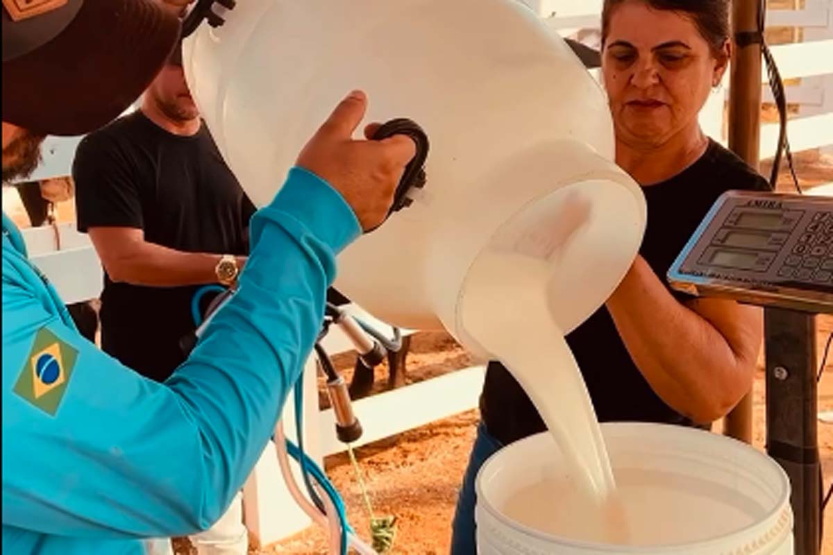 9º Concurso do Leite do Pacarana movimenta produtores e valoriza a produção rural