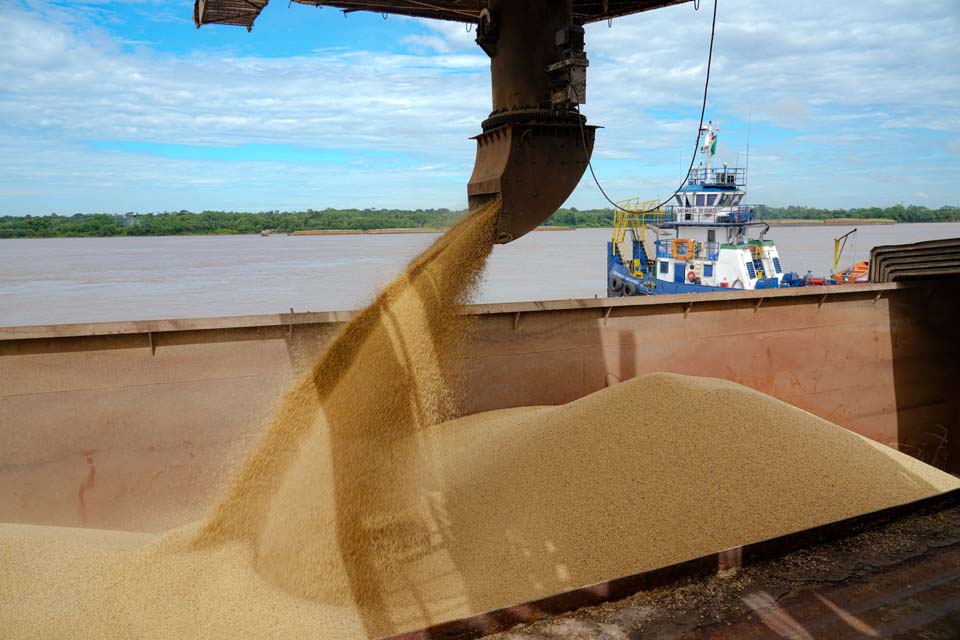 Porto Velho lidera a produo de soja em Rondnia e se consolida como nova fronteira agrcola