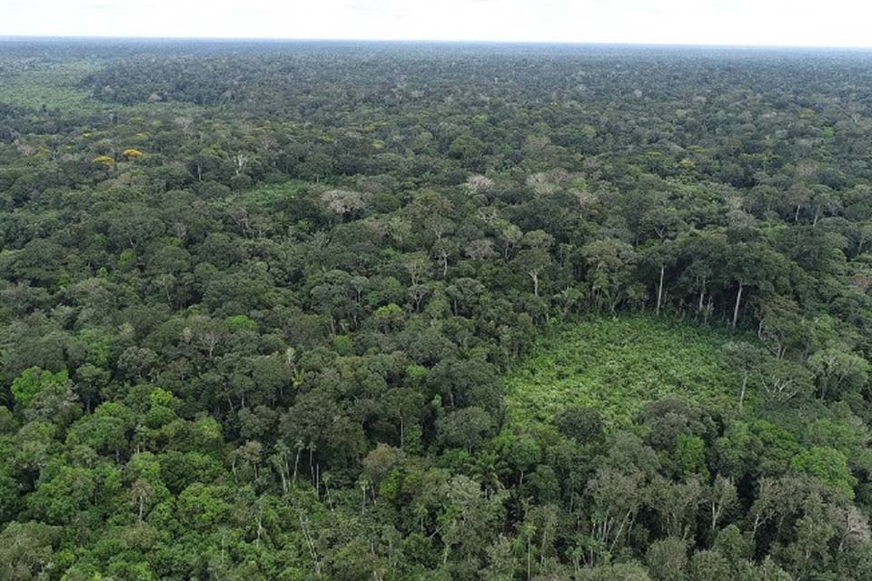 MPF recomenda instalação de base permanente de fiscalização no Parque Nacional de Pacaás Novos