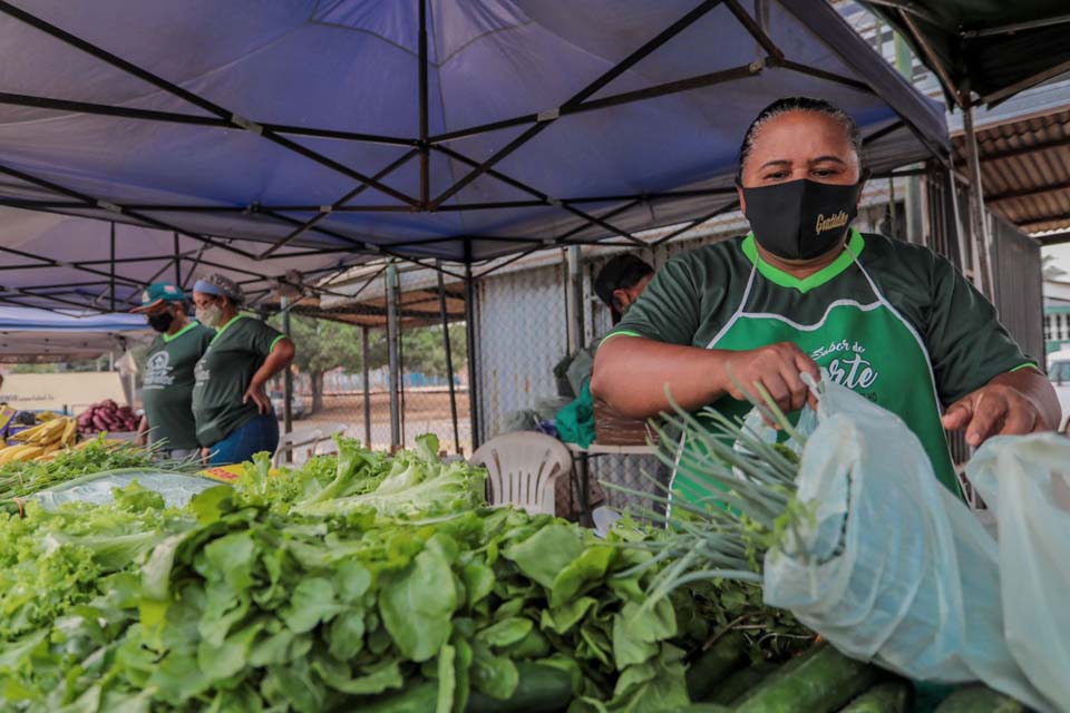 Produção de hortaliças no setor chacareiro atende mercado de Porto Velho