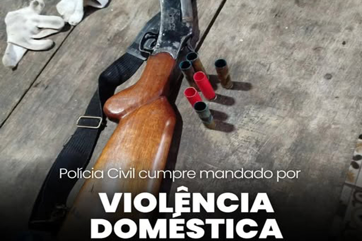 Polícia Civil cumpre mandado de busca e apreensão por violência doméstica 