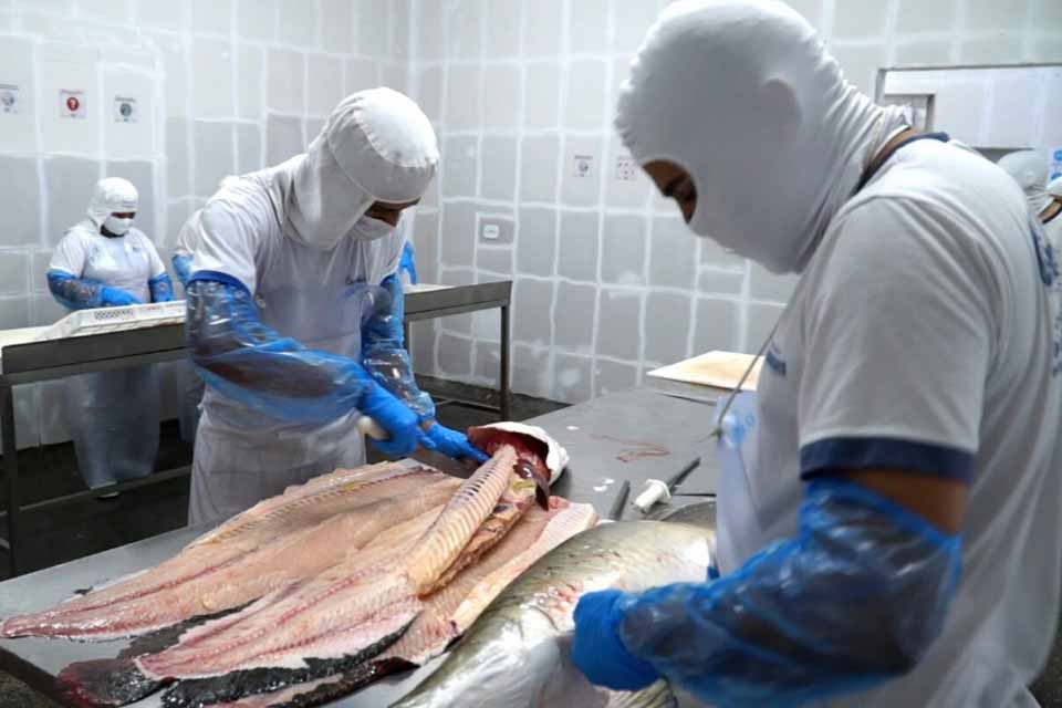Rondônia avança na produção sustentável com certificação Sisbi para indústria de pescados