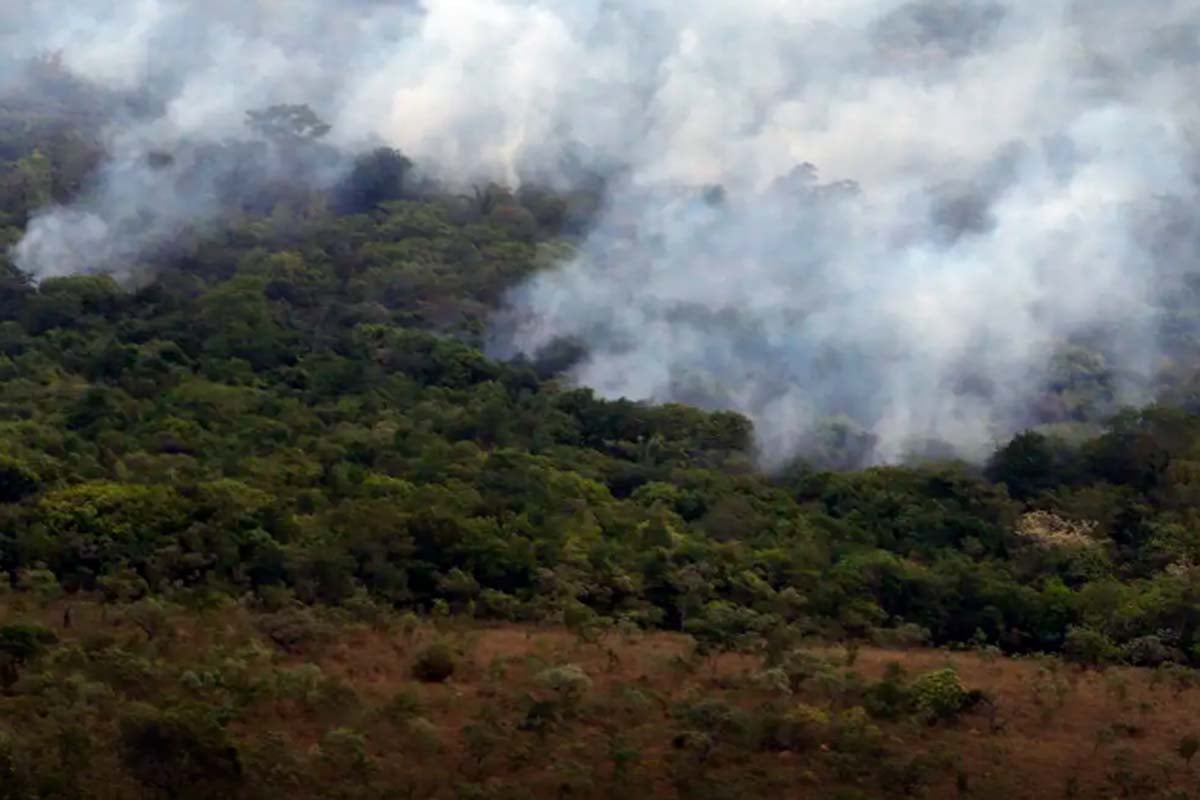 Copernicus: emissão global de gases por incêndios é a menor em 24 anos