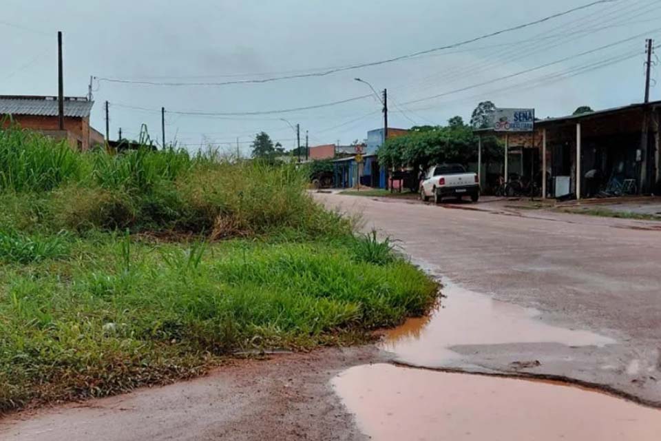Capim alto em terrenos  bladios compromete visibilidade e causa perigo no trânsito