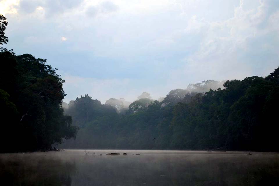Lei que cria política de pagamento por serviços ambientais é publicada