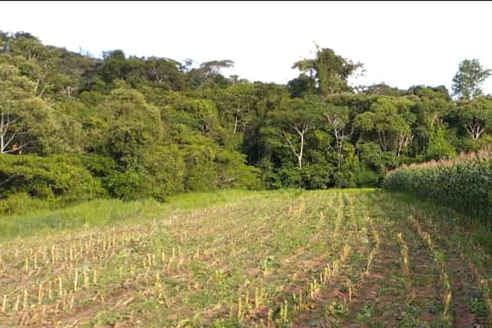 Prefeitura de Espigão do Oeste realiza dia de trabalho na Linah 14 atendendo programa Porteira para Dentro