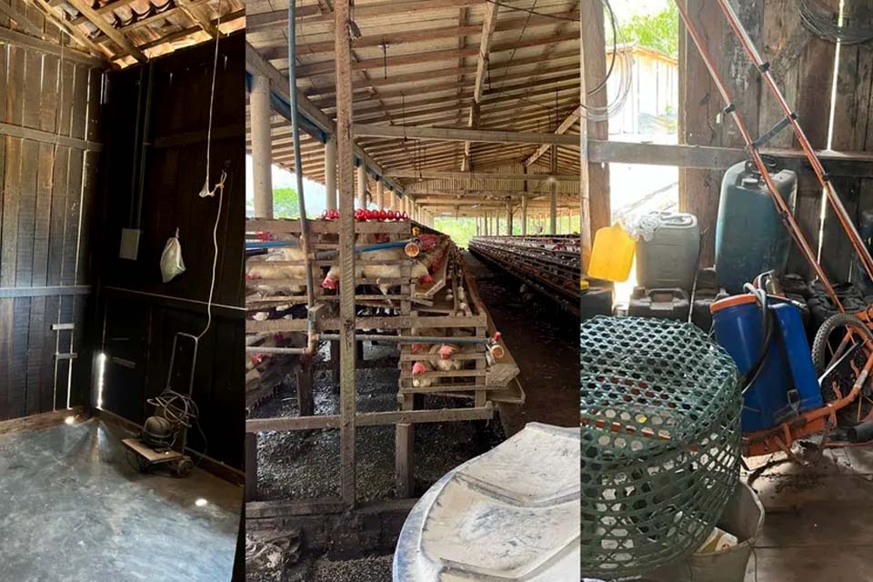 Operação da PF e MP resgata mais de 200 trabalhadores em situações irregulares no Pará