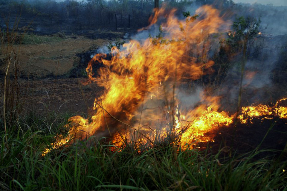 Brasil concentrou 43% do desmatamento do Mundo em 2022; ação humana sobrepôs índices de incêndio em Rondônia