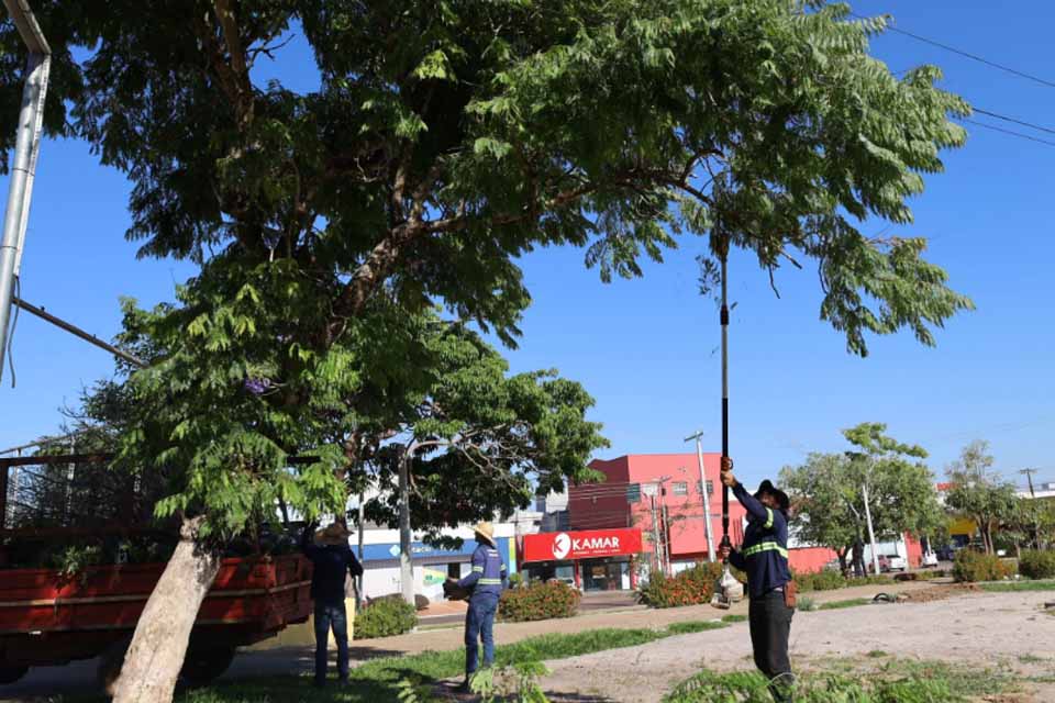 Prefeitura realiza poda de árvores na praça dos Pioneiros em preparação para a FICOP 2025
