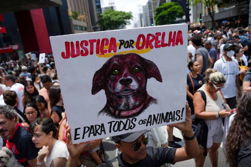 Caso Orelha: polícia pede internação de adolescente envolvido no crime