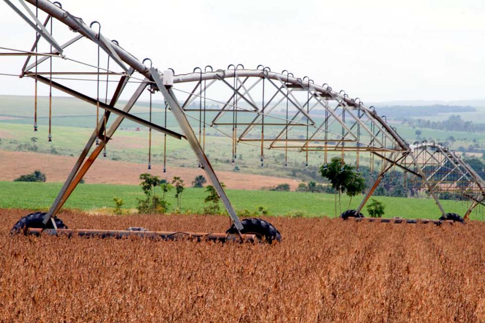 Valor da produção agrícola foi recorde em 2019 e atingiu R$ 361 bi