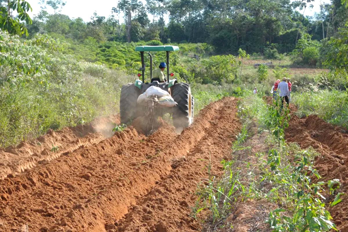 Dia do Agricultor celebra quem transforma a terra em alimento e fortalece o desenvolvimento de Porto Velho