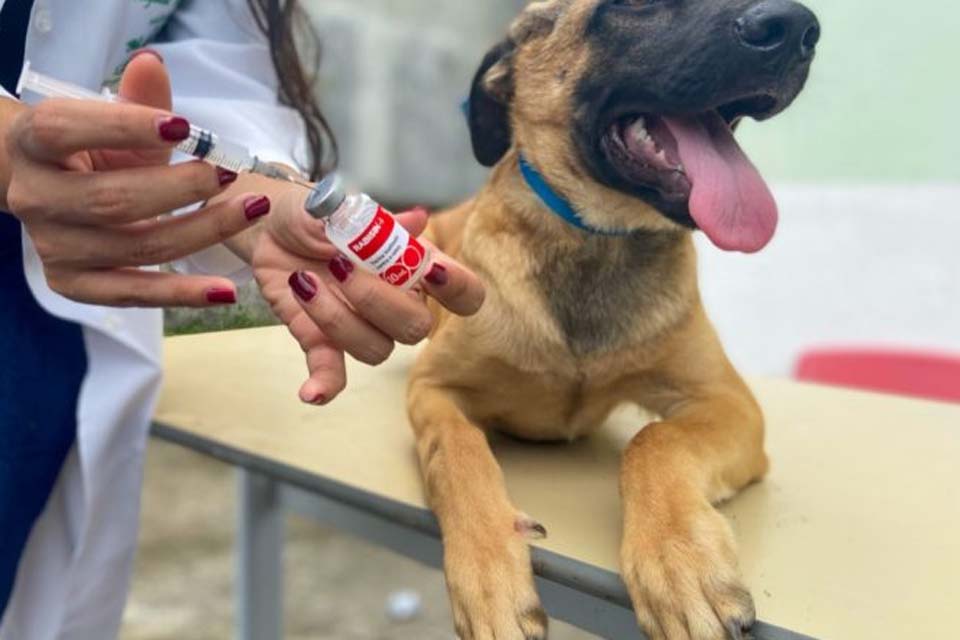 Vacinação antirrábica canina e felina será neste sábado (3)