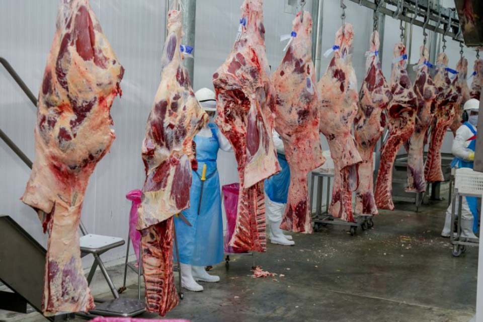 Reunião discute viabilizar a exportação da carne bovina de Rondônia pelo rio Madeira