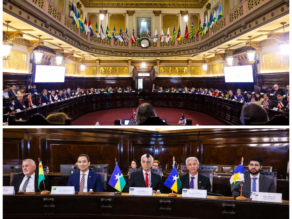 Desembargadores do TJRO participam de reunião nacional sobre execução penal