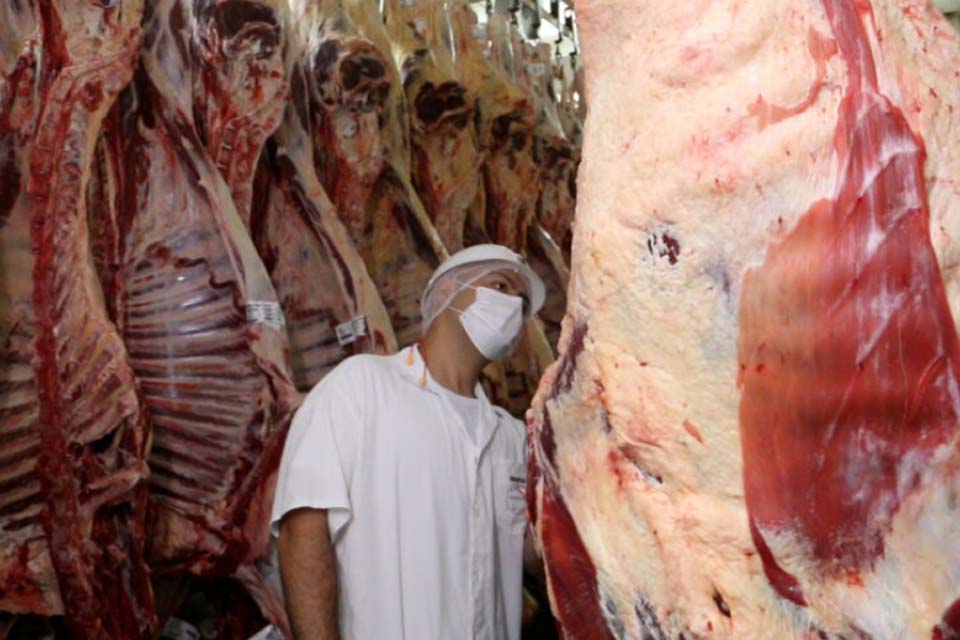 Rondônia se consolida em 1º lugar da região Norte na exportação de carne bovina e investe em incentivos para o setor