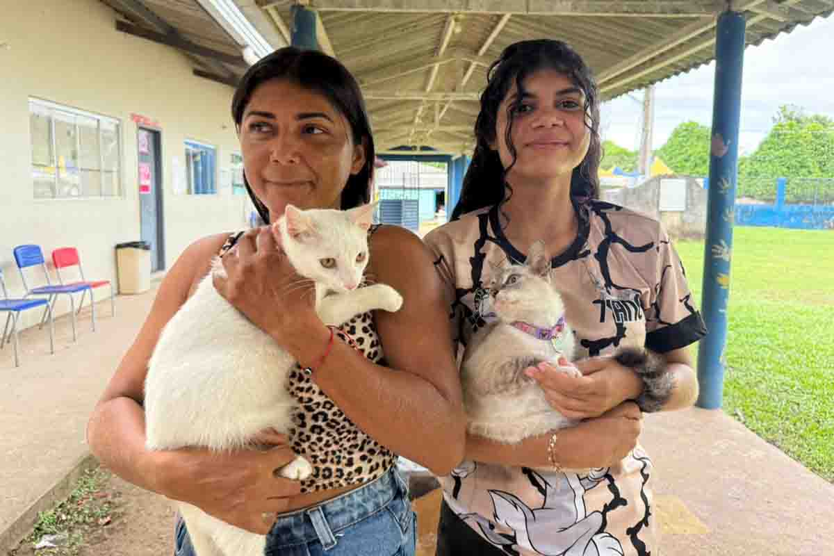 Mais de 90 animais são atendidos em ação inédita no distrito de São Carlos