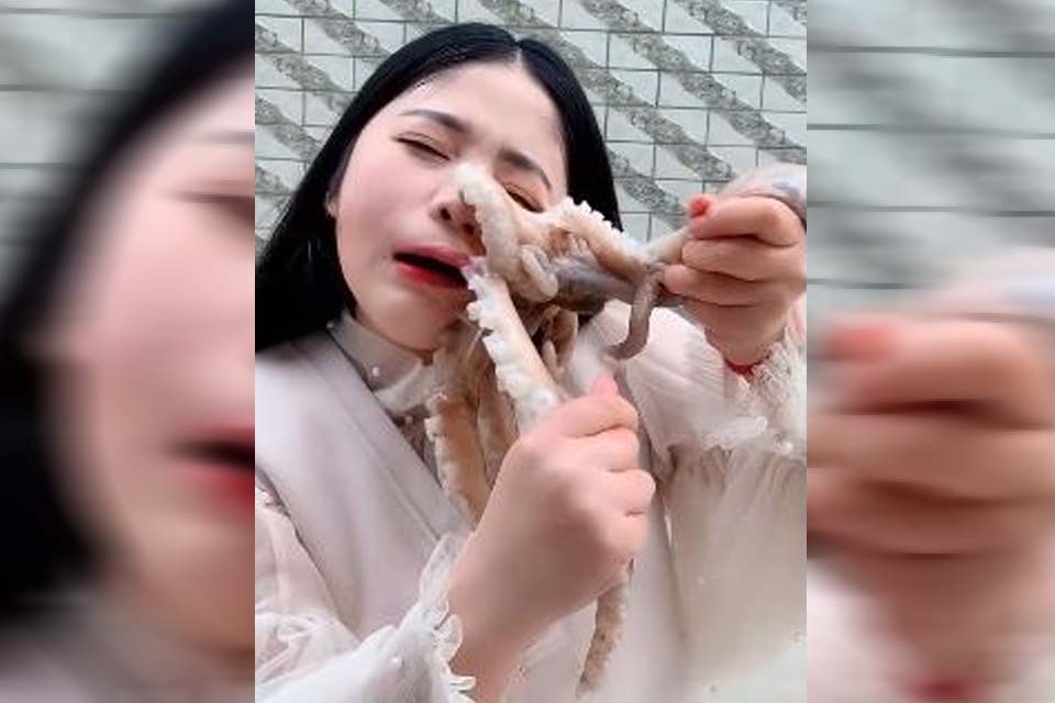 Polvo ataca mulher enquanto ela tentava comê-lo ao vivo