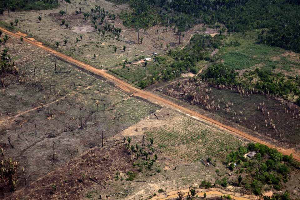 Investigação da Folha de S. Paulo associa recorde de desmate em Rondônia ao fluxo de máquinas pagas com emendas parlamentares