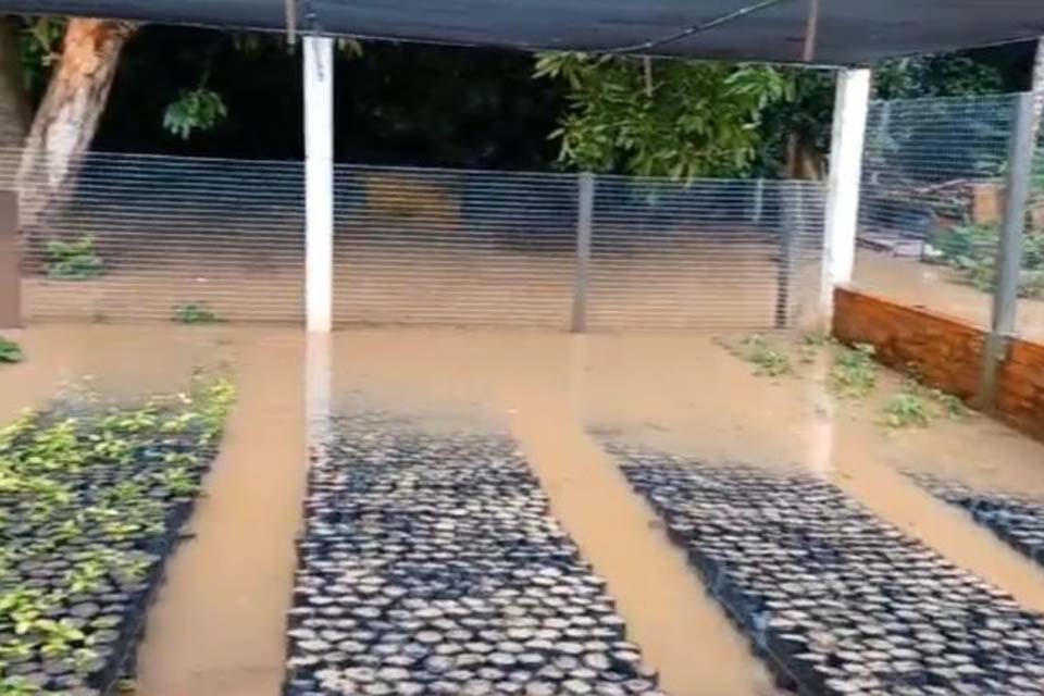 Cacoal: Pela primeira vez em 30 anos, Viveiro Municipal é inundado após chuvas desta madrugada