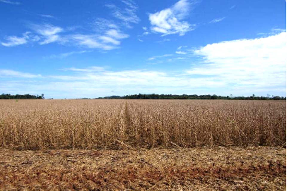 PREVISÃO DO TEMPO: sexta-feira (26) com alerta para baixa umidade em Rondônia