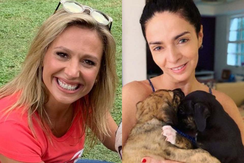Cláudia Ohana fala sobre polêmica com cães após críticas de Luísa Mell
