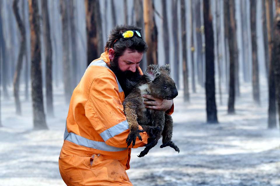 Incêndio na Austrália destruiu um terço da Ilha Kangaroo, mostra Nasa