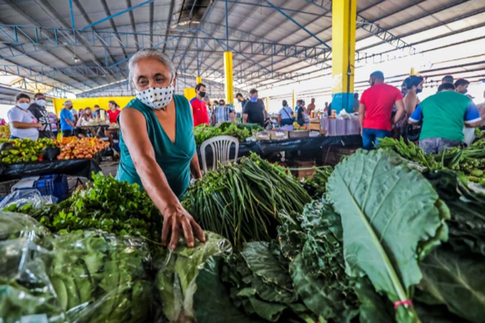 Pilar da economia, agricultor tem reconhecimento da Prefeitura de Porto Velho